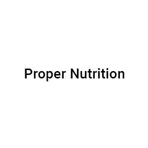 Proper Nutrition