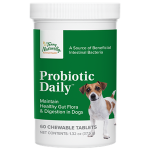 Probiotic Daily 60 chew tabs