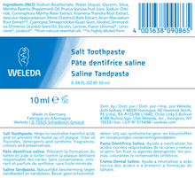Load image into Gallery viewer, Salt Toothpaste 2.5 oz