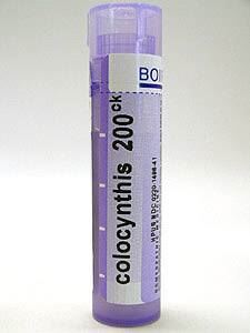 Colocynthis 200CK 80 plts