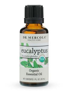 Organic Eucalyptus Essential Oil 1 fl oz