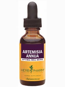 Artemisia annua 1 oz