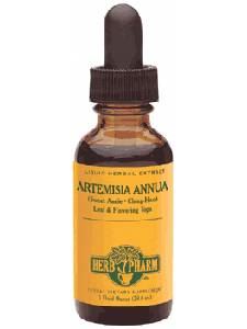 Artemisia annua 4 oz