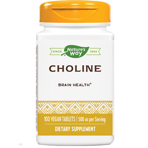 Choline 500 mg 100 tabs