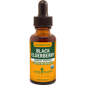 Black Elderberry Alcohol-Free 1 oz