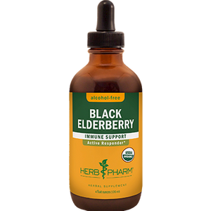 Black Elderberry Alcohol-Free 4 oz