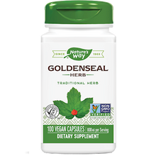 Load image into Gallery viewer, Goldenseal Herb 400 mg 100 caps
